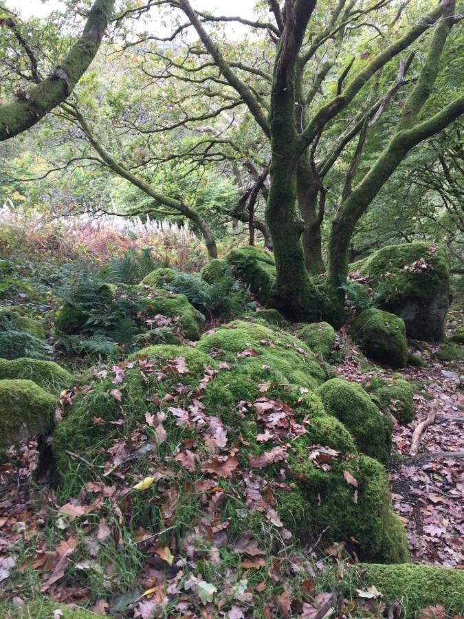 Pisgah Guesthouse Snowdonia Blaenau Ffestiniog Eksteriør bilde